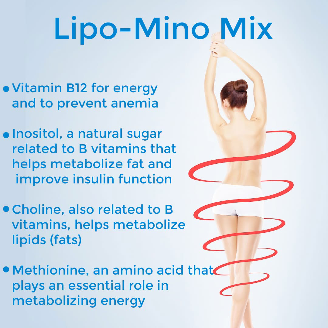 Diagram of Lipo-Mino Mix